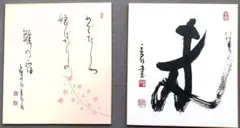 2026年最新】江川香竹の人気アイテム - メルカリ