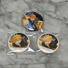 2026年最新】日向翔陽 缶バッジ 横断幕の人気アイテム - メルカリ