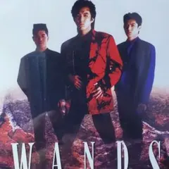 2026年最新】wands グッズの人気アイテム - メルカリ