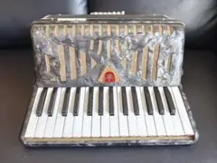 2026年最新】アコーディオン 41鍵盤の人気アイテム - メルカリ