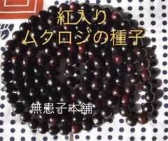 2026年最新】ムクロジ ブレスレットの人気アイテム - メルカリ