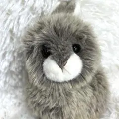 2026年最新】nature land ぬいぐるみの人気アイテム - メルカリ