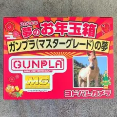 2026年最新】ガンプラの夢 ヨドバシの人気アイテム - メルカリ