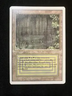 2026年最新】マジック ザ ギャザリング デュアルランドの人気アイテム