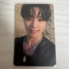 2026年最新】ラキドロ ディノの人気アイテム - メルカリ