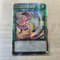 2026年最新】ハーピィの羽根帚 25thの人気アイテム - メルカリ