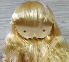 2026年最新】ブライス 頭皮付きウィッグの人気アイテム - メルカリ