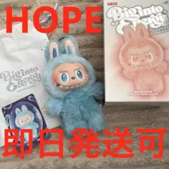 2026年最新】popmart labubu シークレットの人気アイテム - メルカリ