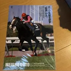 2026年最新】ヒーロー列伝 クリアファイルの人気アイテム - メルカリ