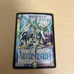 2026年最新】龍仙 ロマネスク プロモの人気アイテム - メルカリ