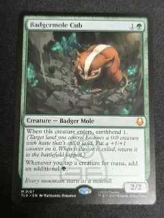 2026年最新】アナグマモグラの仔の人気アイテム - メルカリ