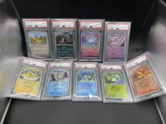 2026年最新】テラスタルフェスex ブイズ モンスターボールの人気