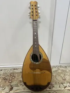 2026年最新】国島 マンドリンの人気アイテム - メルカリ