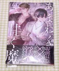 2026年最新】淫魔教育の人気アイテム - メルカリ