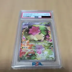 2026年最新】シェイミ psa10の人気アイテム - メルカリ