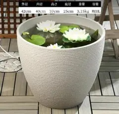 2026年最新】中国 金魚鉢の人気アイテム - メルカリ