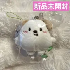 2026年最新】RIIZE アントン ぬいぐるみ 公式の人気アイテム - メルカリ