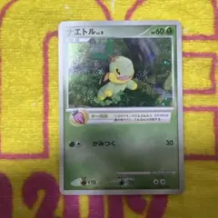 2026年最新】ナエトル 001/PPPの人気アイテム - メルカリ