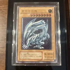 2026年最新】ブルーアイズホワイトドラゴン レリーフ 濃青艶の人気