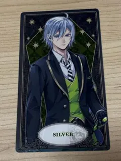 2026年最新】ツイステ シルバー カードの人気アイテム - メルカリ