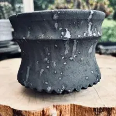 2026年最新】菊地元野の人気アイテム - メルカリ