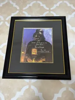 2026年最新】ベイダー サインの人気アイテム - メルカリ