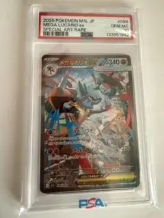 2026年最新】メガルカリオex psa10の人気アイテム - メルカリ