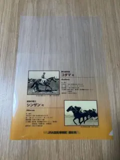 2026年最新】ブエナビスタ 競馬の人気アイテム - メルカリ