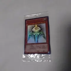 2026年最新】ホルアクティ 未開封の人気アイテム - メルカリ