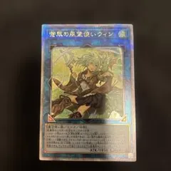 2026年最新】蒼翠の風霊使いウィン 25thの人気アイテム - メルカリ