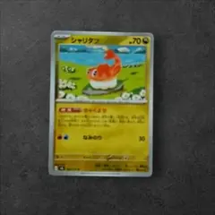 シャリタツ：チャンピオンシップシリーズ 2025 PROMO SV-Pプロモカード