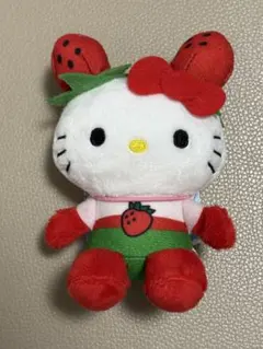 2026年最新】イチゴマン キティの人気アイテム - メルカリ