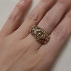 2026年最新】スティーブンデュエックの人気アイテム - メルカリ