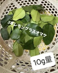 2026年最新】こぶみかんの葉の人気アイテム - メルカリ