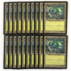 2026年最新】mtg 基本土地の人気アイテム - メルカリ