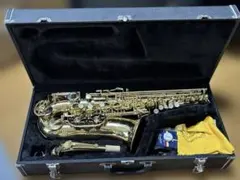 2026年最新】スプレンダー サックスの人気アイテム - メルカリ