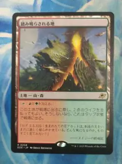 2026年最新】踏み鳴らされる地の人気アイテム - メルカリ