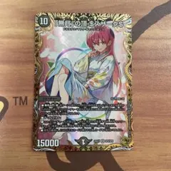 2026年最新】無月の頂ゼニスザークの人気アイテム - メルカリ