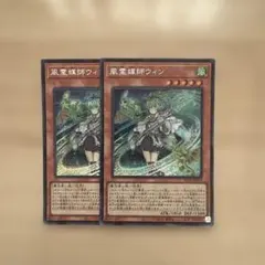 2026年最新】風霊媒師ウィンの人気アイテム - メルカリ