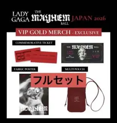 2026年最新】lady gaga グッズ vipの人気アイテム - メルカリ