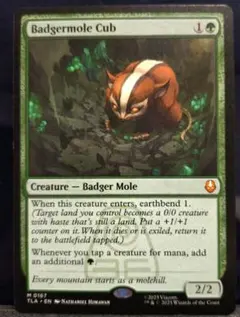 2026年最新】アナグマモグラの仔の人気アイテム - メルカリ