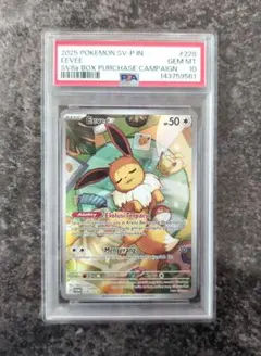 2026年最新】イーブイ ar psa10の人気アイテム - メルカリ