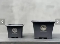 2026年最新】鶴仙園 鉢の人気アイテム - メルカリ