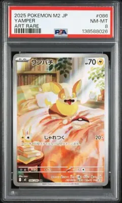 2026年最新】psa10 わんぱちの人気アイテム - メルカリ