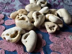 2026年最新】イルカの耳骨の化石の人気アイテム - メルカリ