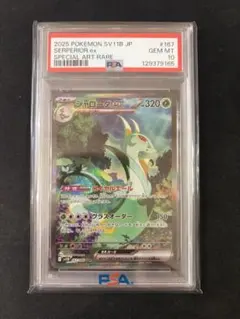 2026年最新】ジャローダ psa10の人気アイテム - メルカリ