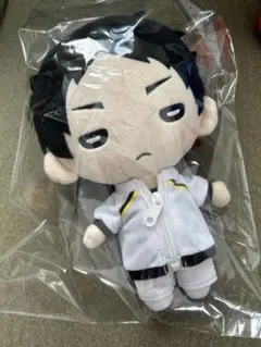 2026年最新】にとたん/ハイキュー！！/おおきいぬいぐるみ/赤葦の人気