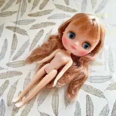 2026年最新】カスタムミディブライスの人気アイテム - メルカリ