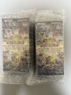 2026年最新】クォーターセンチュリーアートコレクション boxの人気