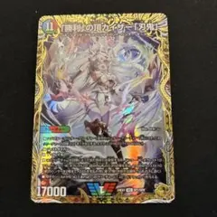 2026年最新】勝利の頂 カイザー刃鬼 金トレの人気アイテム - メルカリ